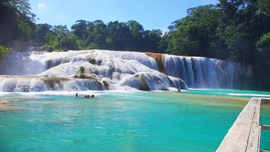 Best of Chiapas & Yucatan with the Maya Train