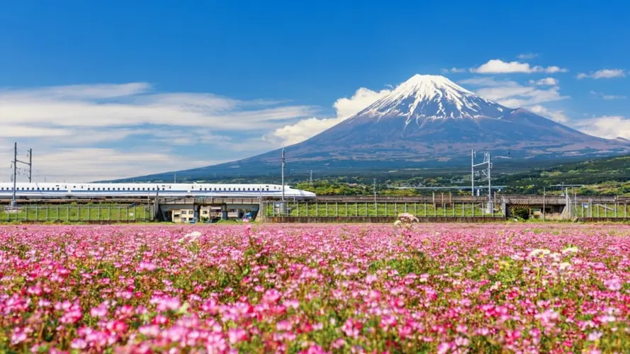 Circuito individual: Japón Esencial con actividades incluidas en 4 estrellas