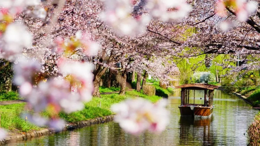 Image - Intensément Japon 3*