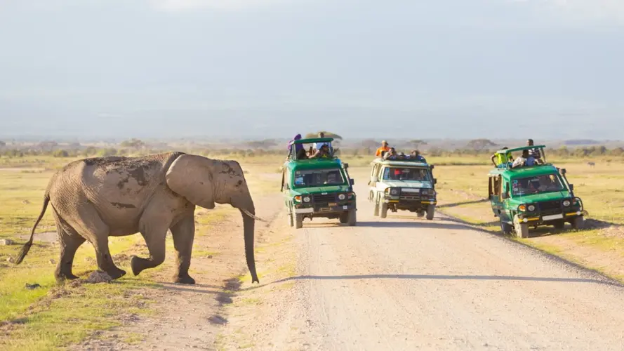 Visions Kenya Tanzanie - HORS VOLS