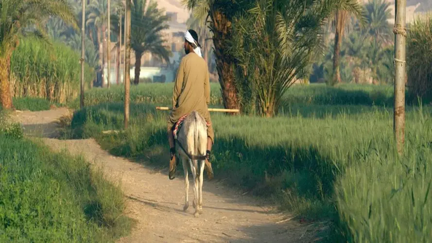 Obraz - Trilogie Egyptienne