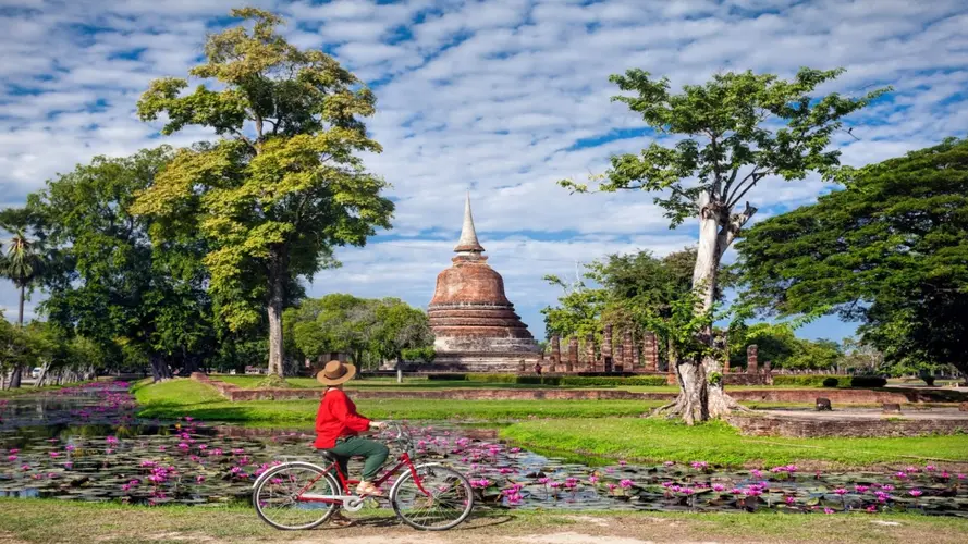 Immersion en Thaïlande - 2026