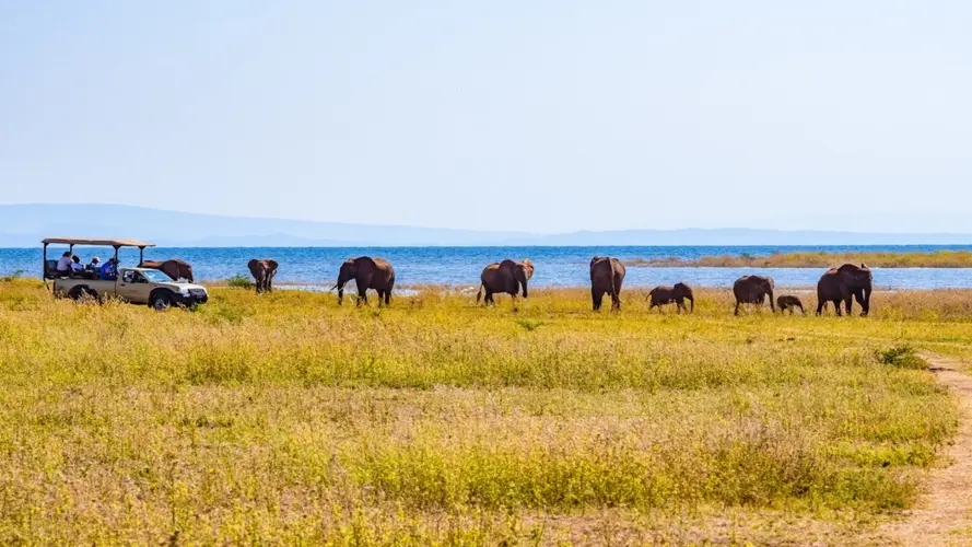 صورة - L'Afrique Australe à bord du Zimbabwean Dream : expérience inédite aux confins du monde