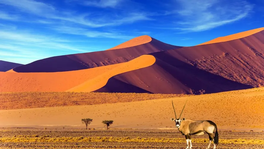 Visions de Namibie sens Windhoek - Chutes Victoria - HORS VOLS