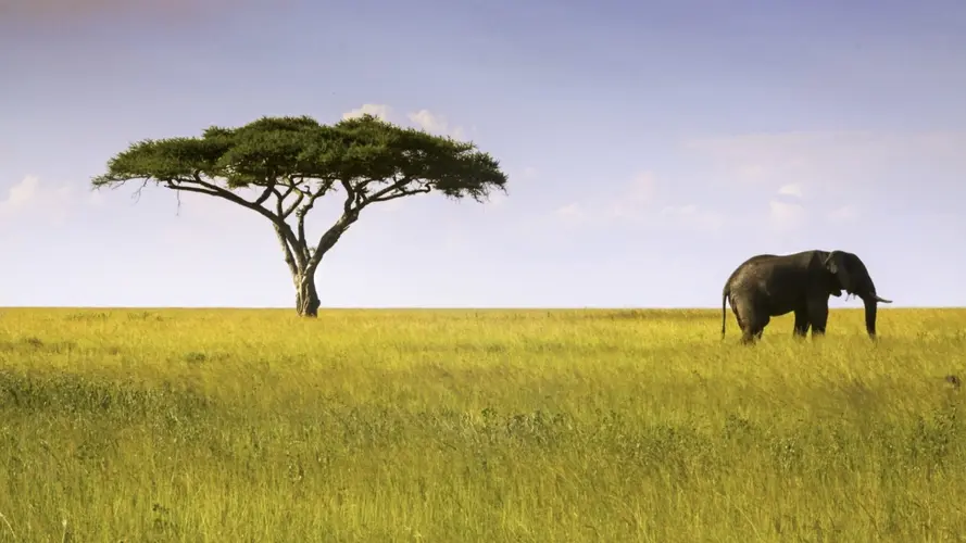 Essentiel Tanzanie & Zanzibar - HORS VOLS