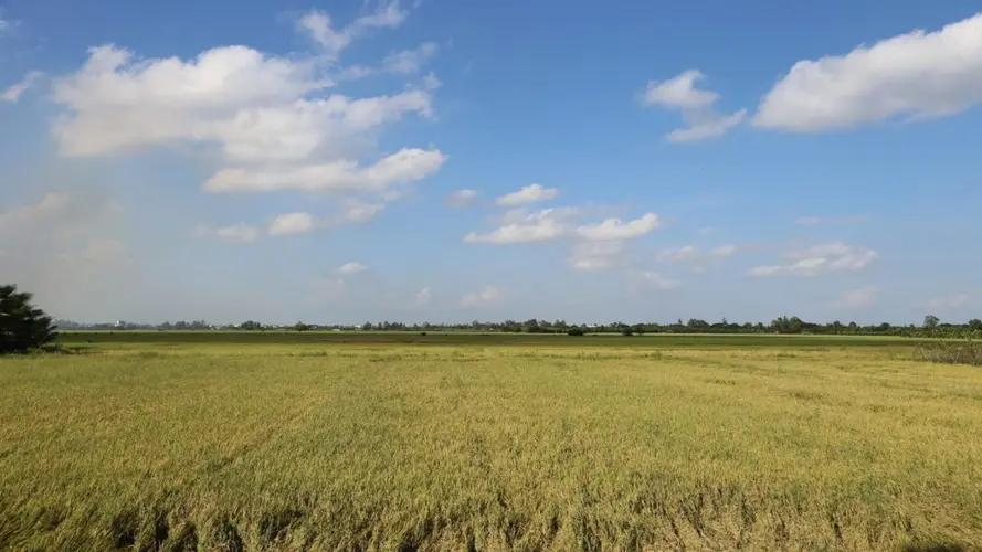 Radtour entlang des Mekong-Deltas