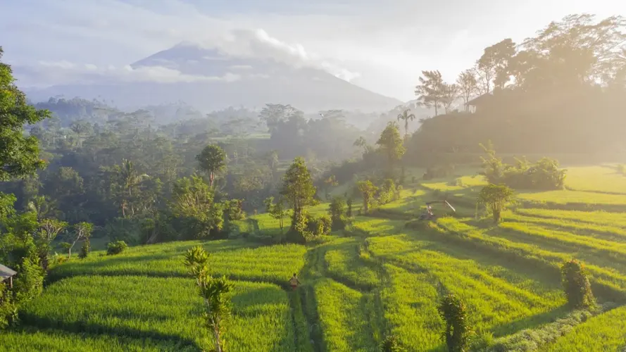 L'Indonésie de Bali à Gili Air