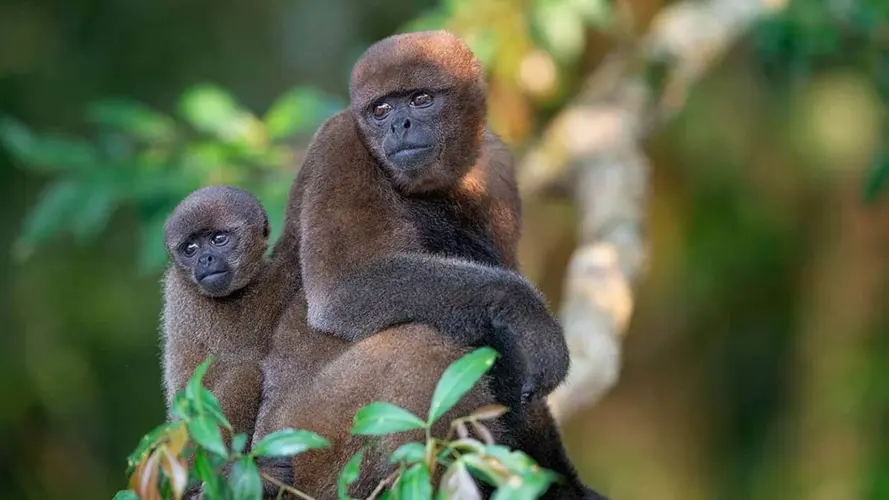 ES Xplora Ecuador & Amazonia Profunda & Galapagos FIT