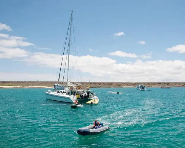 تصویر - Discover Galapagos: Santa Cruz & San Cristobal in 4 Days