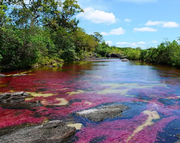 تصویر - Bogotá and Caño Cristales