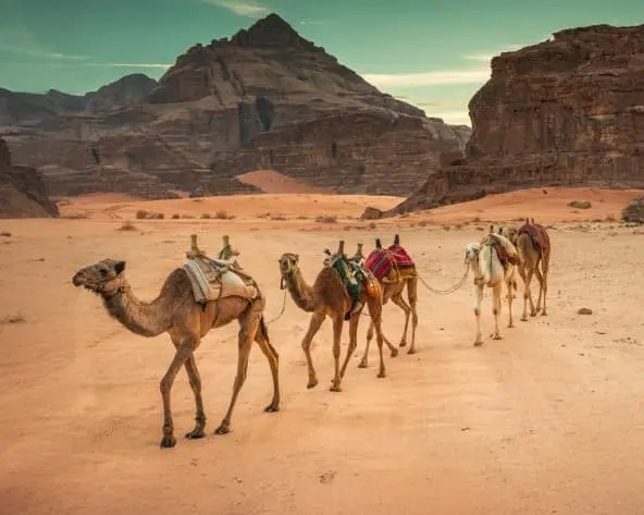 Imagem - MTPE-20035 MELODÍAS DE JORDANIA II