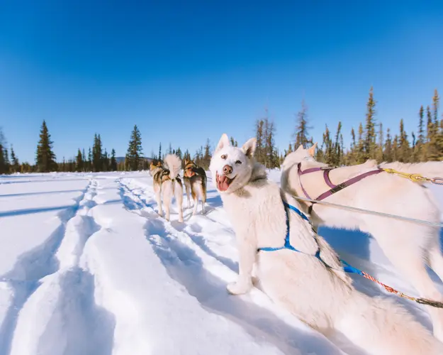 Invierno Fantástico en Canadá 8 Días