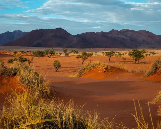 11 Day Namibia Camping Tour