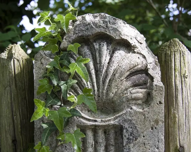 Image - Cammino di Santiago da 0’Cebreiro a Santiago (152,8 km)