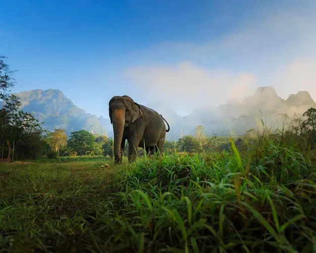 Bild - Kurztour "Elephant Hills Safari" (3 Nächte)