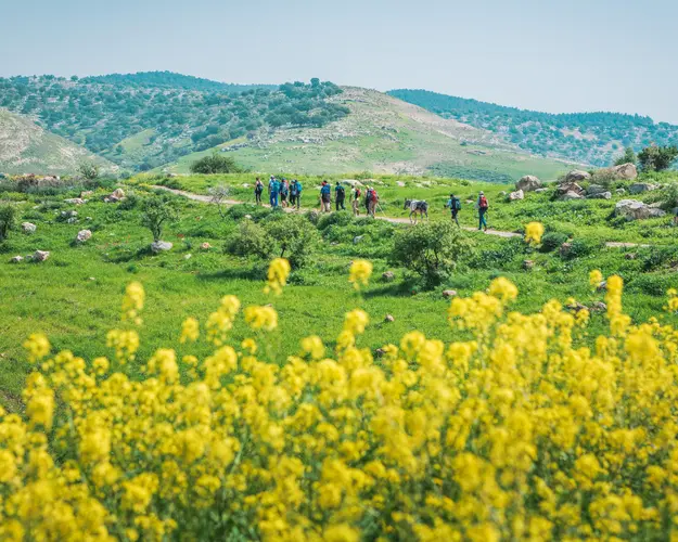 Image - Circuit Jordanie & Randonnée sur le Jordan Trail