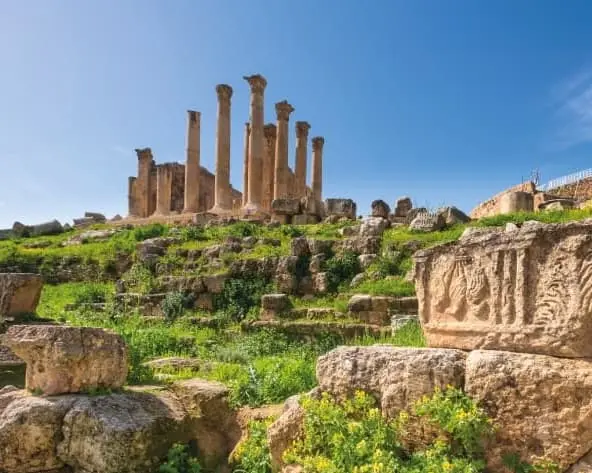 Immagine - MTPE-20033 SABORES DE JORDANIA