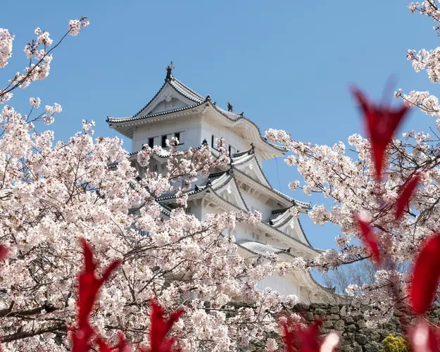 Şəkil - Tour classico del Giappone