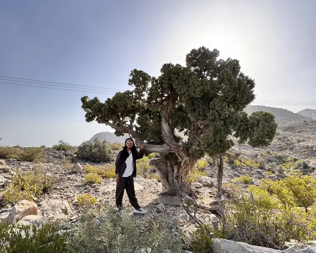 تصویر - Overnight Trip: Jebel Akhdar (Muscat - Camping)