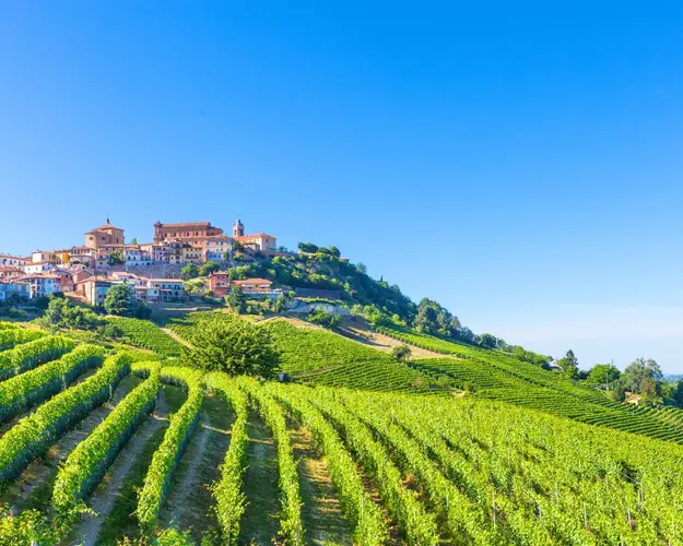 Image - Langhe d'autunno: colline e buon vino