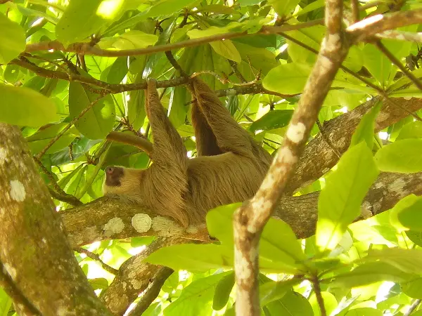Rundreise "Best of Panama" & Baden im Bocas Archipel