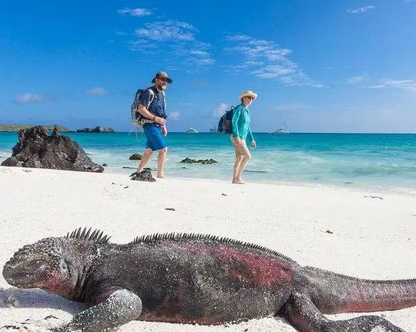 Quito and Galapagos 8 Days