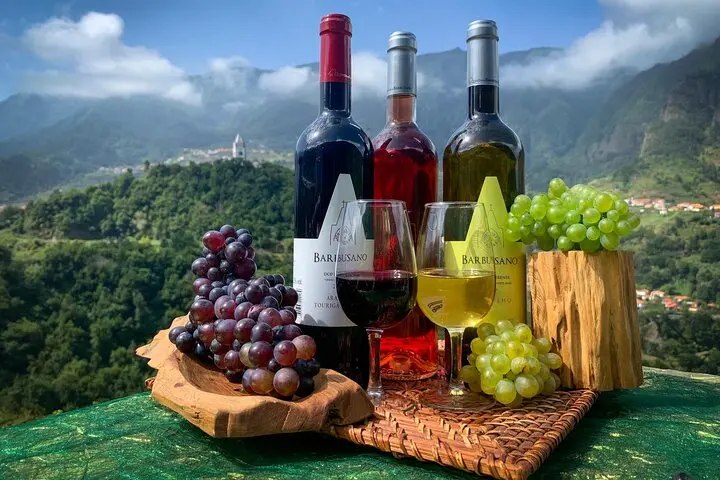 Discover Madeira's Vineyards,Portugal - august 2025