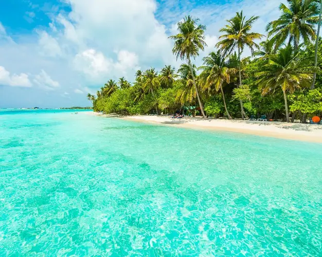 6 Riviera Maya / 4 Cancún - Noviembre y Diciembre