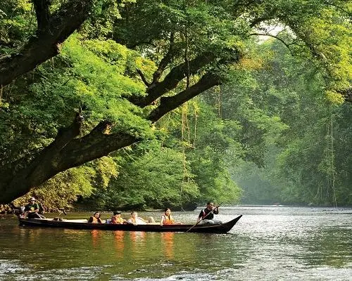 Bild - Kuala Lumpur, "Taman Negara und Cameron Highlands" & Bali