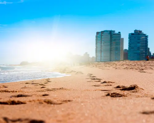  Discover South America - August 2025