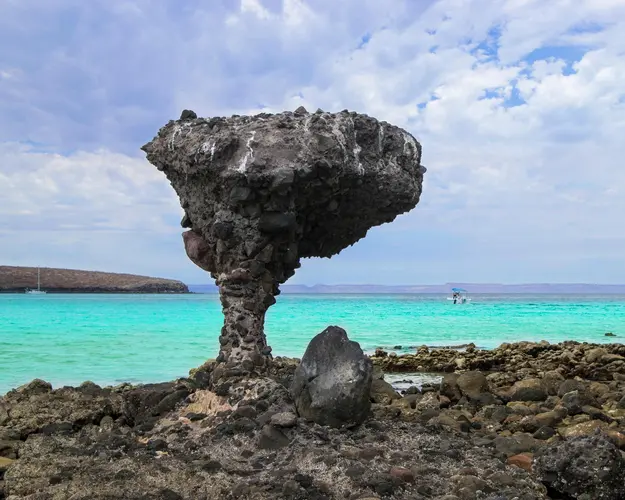 TESOROS DE MAR DE CORTÉS (CVU)