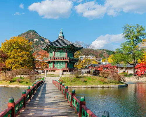  Explore Seoul, South Korea & Phuket, Thailand