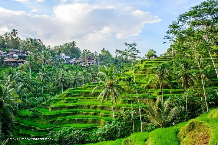 Circuit Ubud, Lombok & Seminyak, Indonezia - august 2025