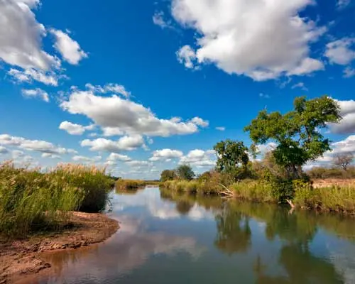 Kuva -  Kruger National Park, South Africa