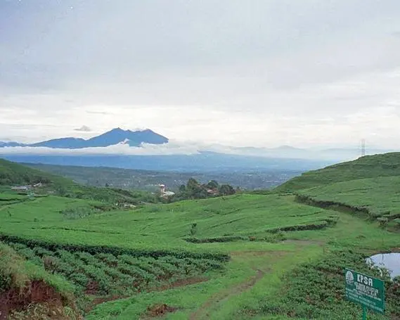  Family Adventure in Indonesia