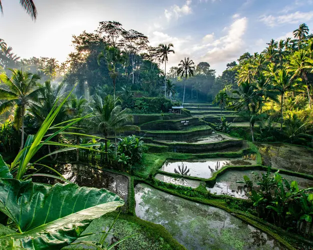   Romantic Bali Honeymoon: 8 Days for 2 Adults
