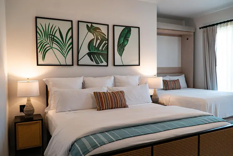 Imagen - Flamboyan Hotel & Residences, Los Cabos