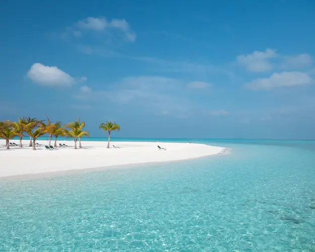 Imagen - Jue 15 ENE 26 - SLA/PUJ + Hoteles en Bayahibe