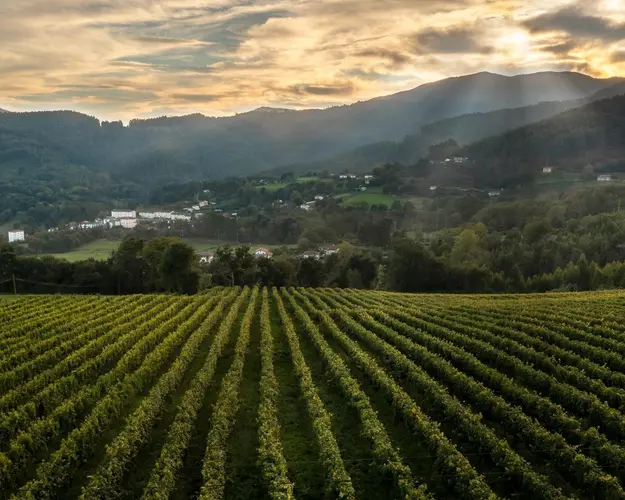 Abellaneda y Bodegas Txa Txabarri (30 de agosto)