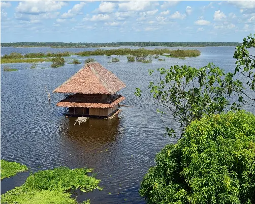 Iquitos + Equipaje "30dic al 02ene"