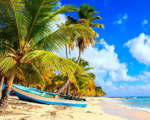 Bayahibe + Carry on "05 al 09dic"