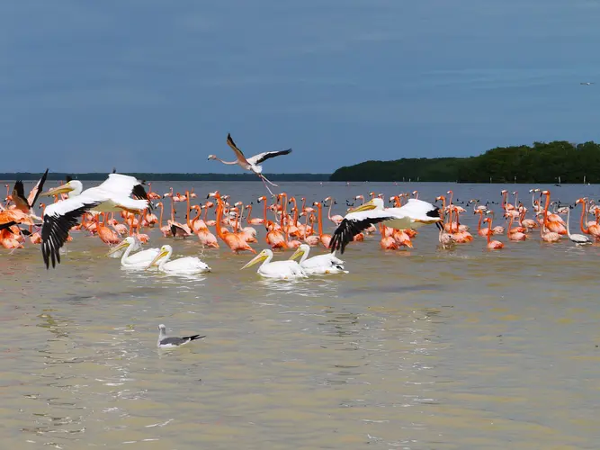 Naturaleza y Cultura, Yucatán y Chiapas - Self Drive