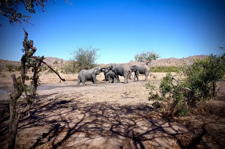 Safari Sueños de Sudáfrica "Lujo" – Ciudad del Cabo + Reserva Privada
