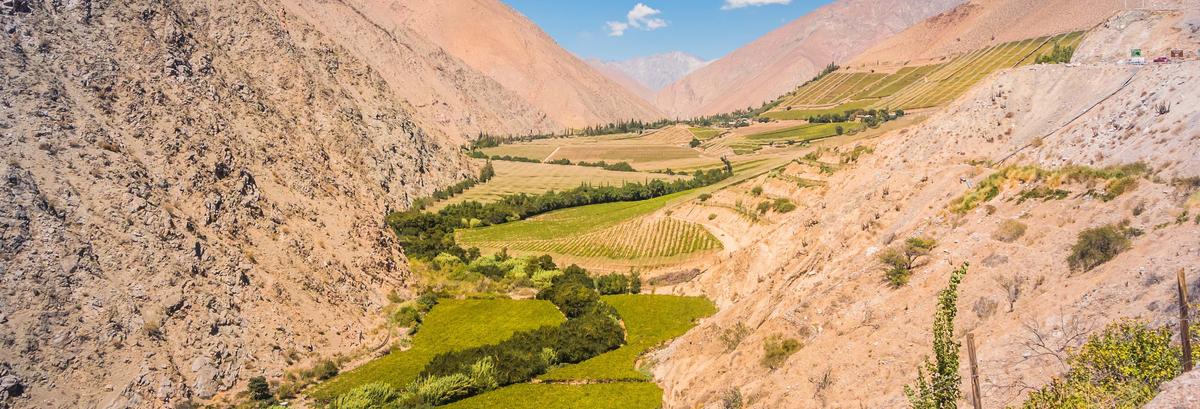 Tour por el valle del Elqui