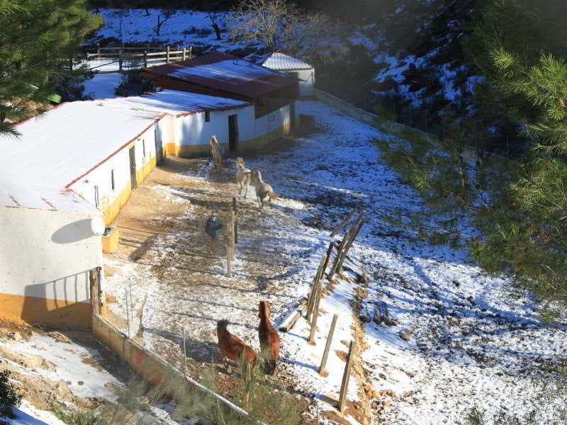 Vega Sierra Hotel Casas Rurales & Spa