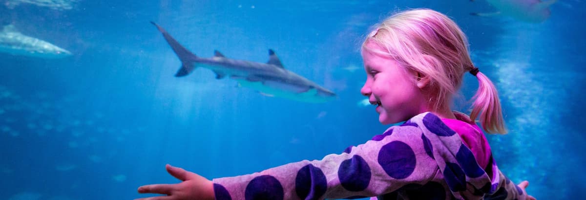 Biglietti per il SEA LIFE® Oberhausen