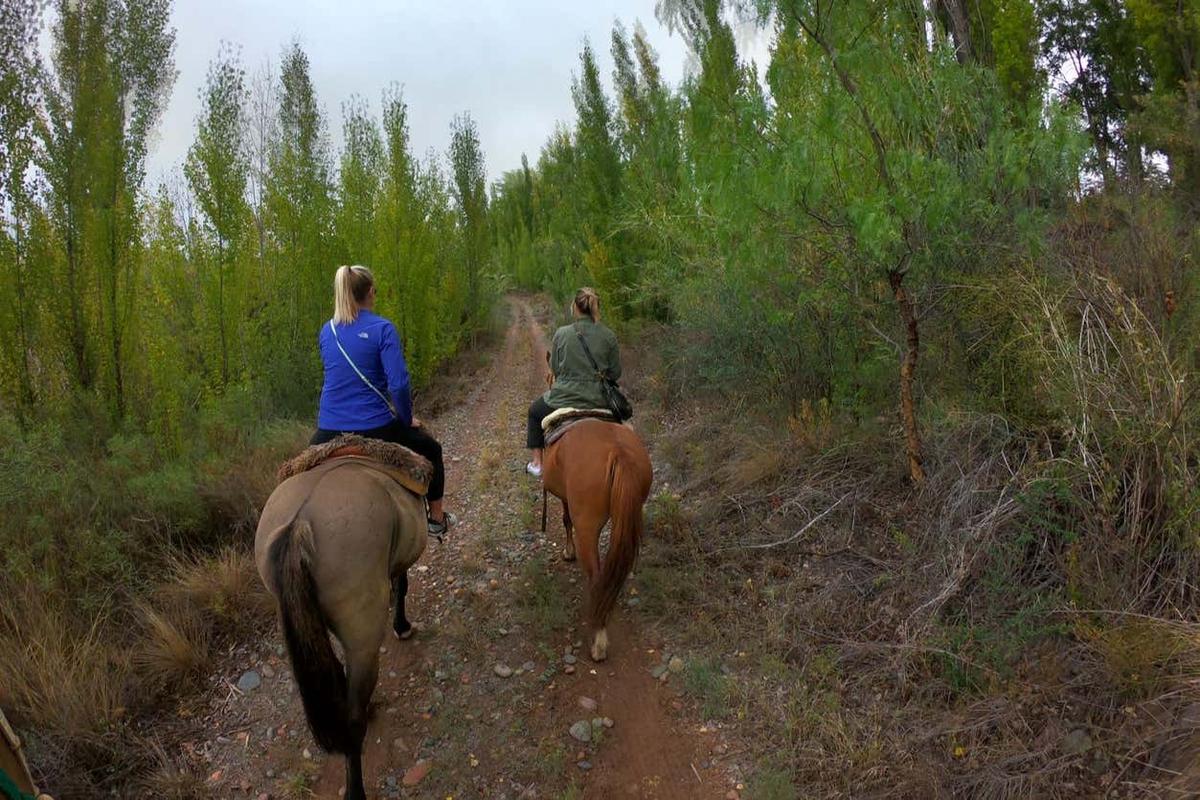 Lunlunta Horse Riding Tour