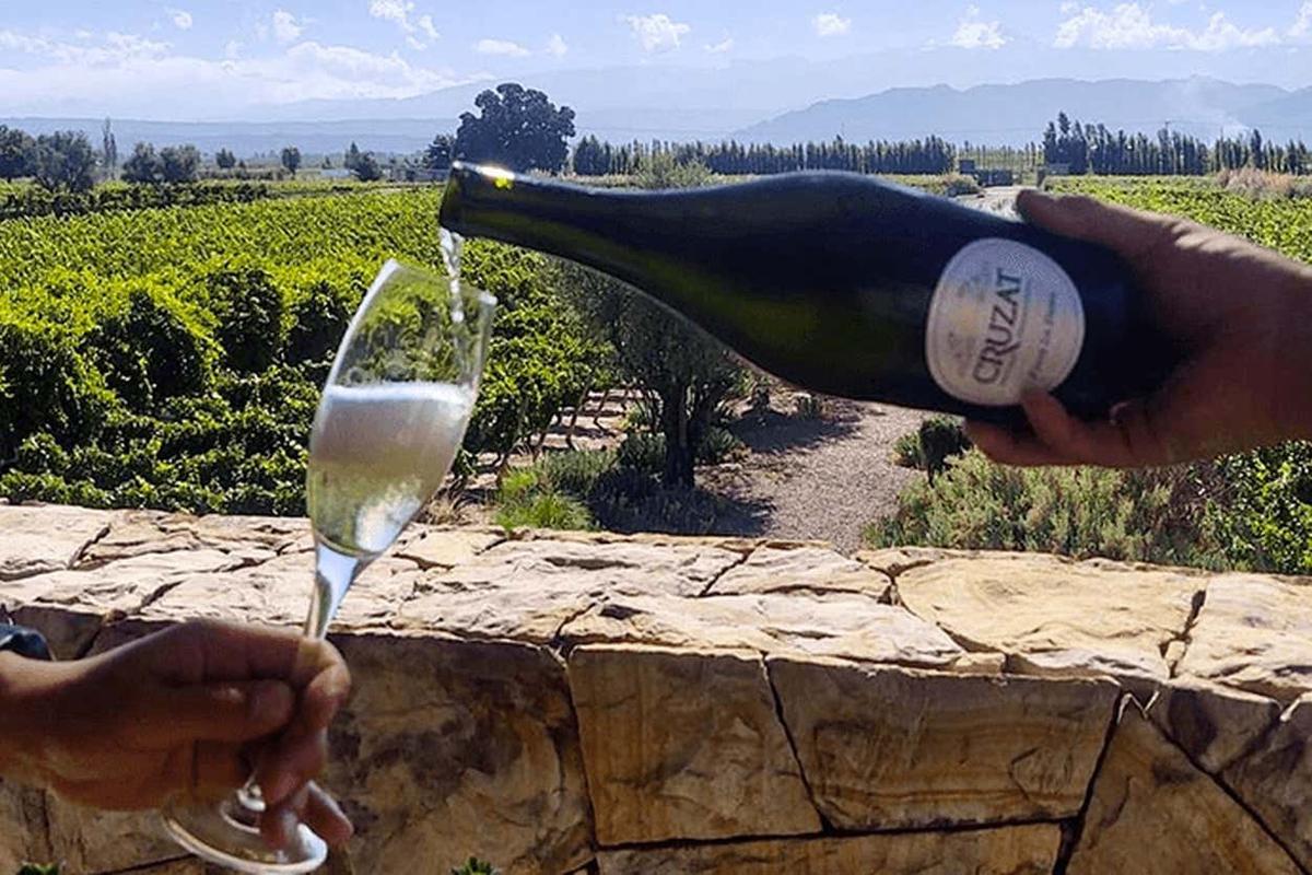 Luján de Cuyo Wineries Small Group Tour