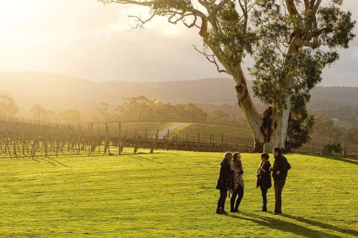 Hop On Hop Off Wine Bus