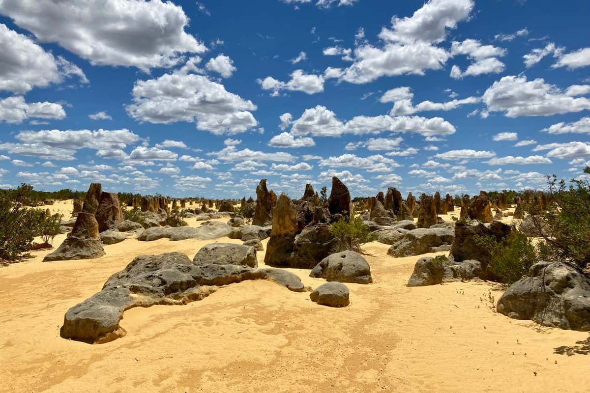 Escursione al Deserto dei Pinnacoli